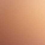 大手引っ越し会社の単身パックについて