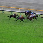 競馬情報サイトを効果的に活用する方法