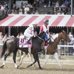 競馬の魅力や負けにくい買い方