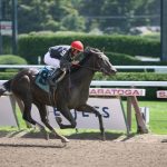 夢を叶える一撃:一つのレースで大きく勝つ方法